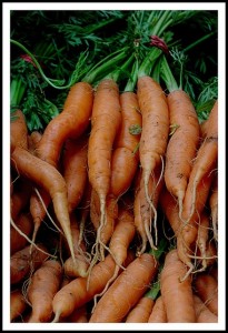 carrots