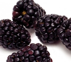 blackberries