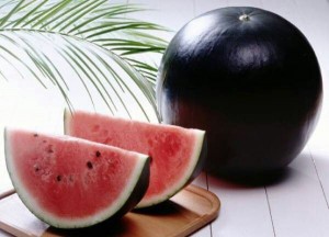 Densuke water melon