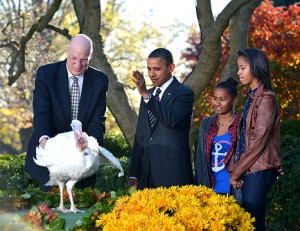 1353530790_barack-obama-turkey-pardon-467