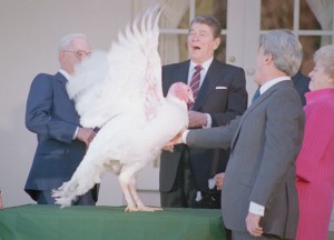 reagan-turkey-pardoning