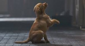 Puppy Love Budweiser Commercial 2