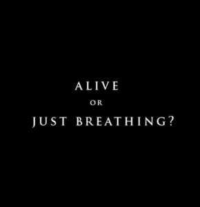 f798b3cbef311b928cd428246b166a69