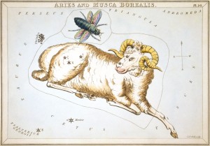 Sidney_Hall_-_Urania's_Mirror_-_Aries_and_Musca_Borealis