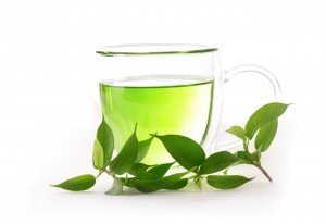 green-tea-plant